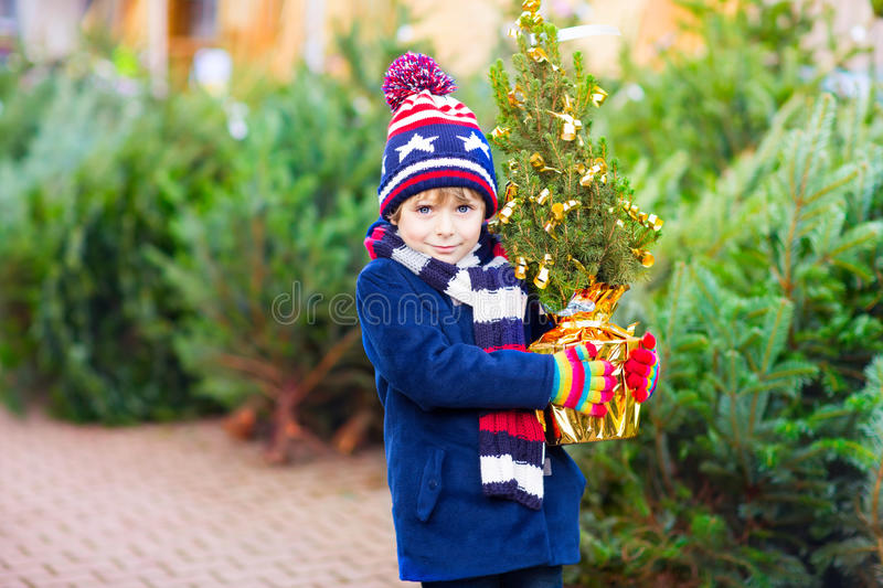 拿著圣誕樹(shù)的美麗的微笑的小男孩-73039083.jpg